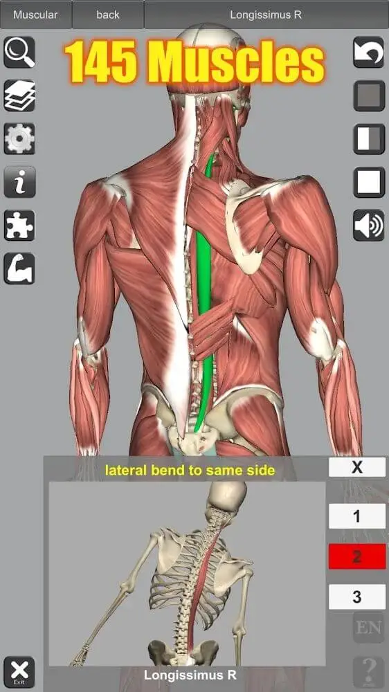 Screenshot of the 3D Anatomy app