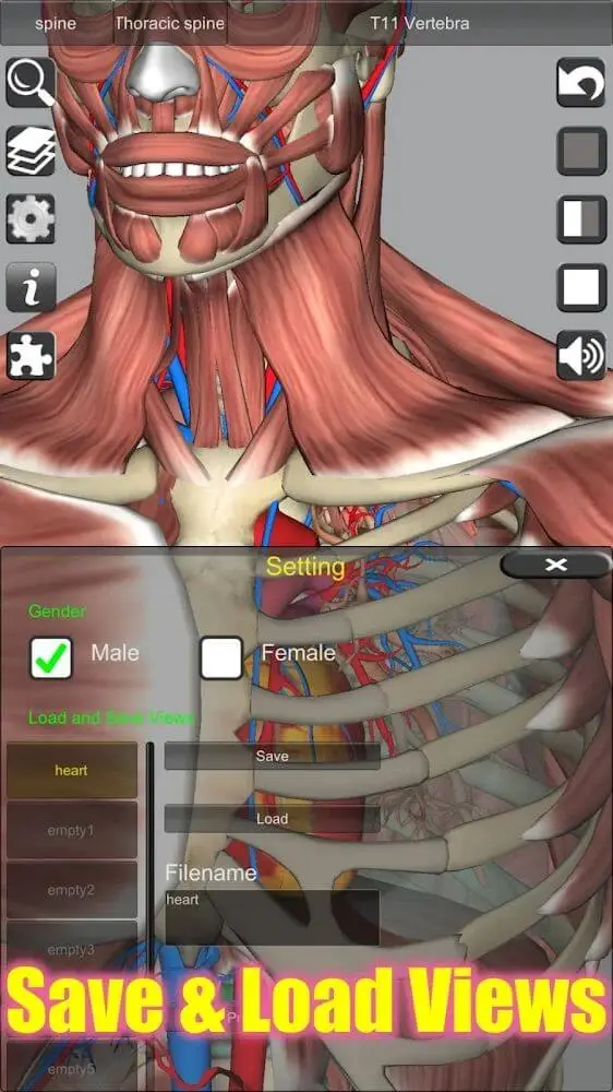 Screenshot of the 3D Anatomy app