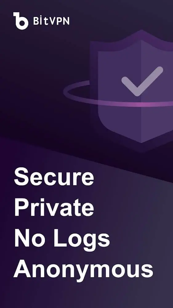 Screenshot of the BitVPN app