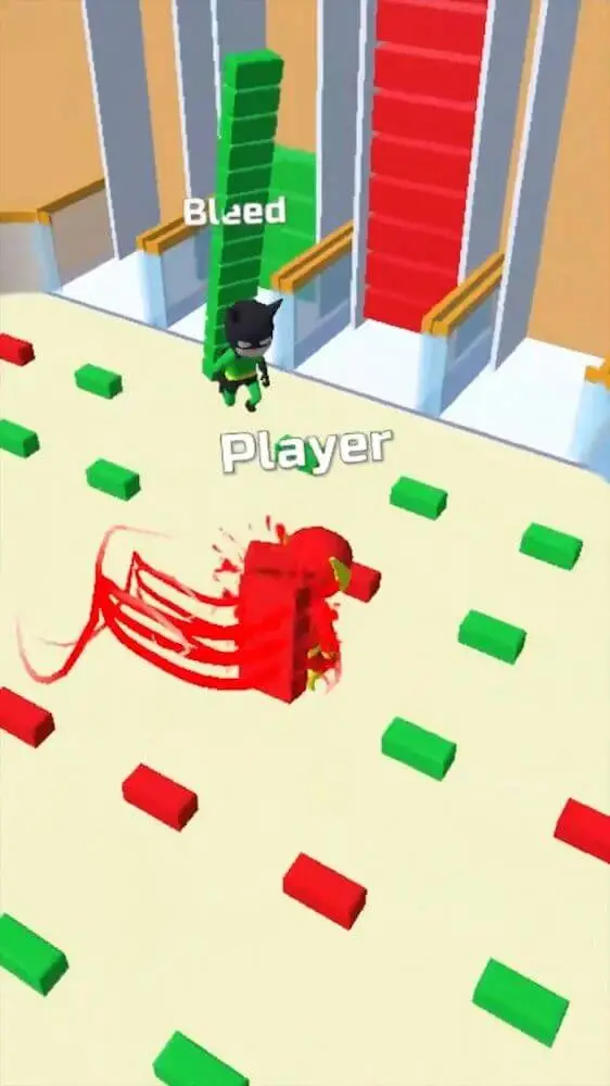 Screenshot of the Bridge Race app