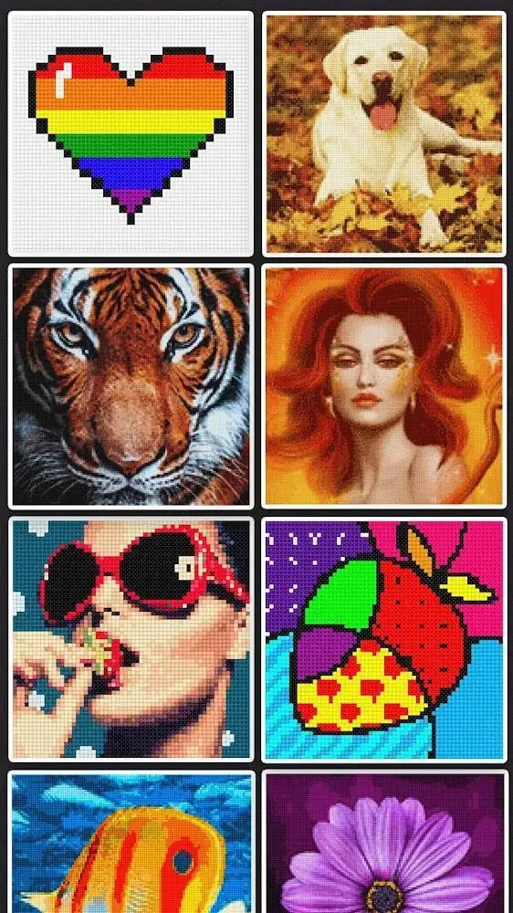 Screenshot of the Cross Stitch app