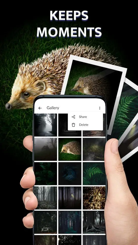 Screenshot of the Flashlight Plus Free app