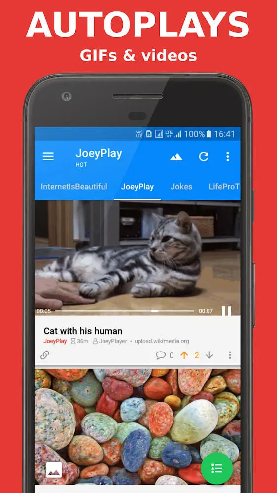 Screenshot of the Joey for Reddit app
