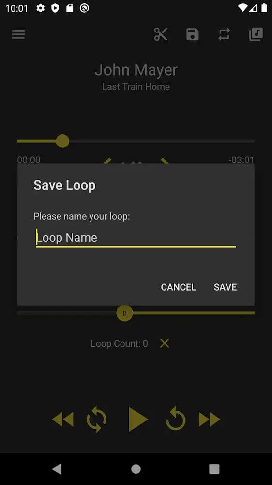 Screenshot of the Loop Player app
