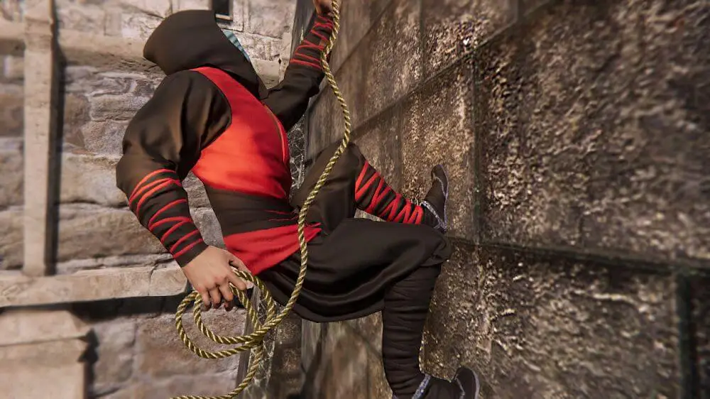 Screenshot of the Ninja Assassin's Fighter game