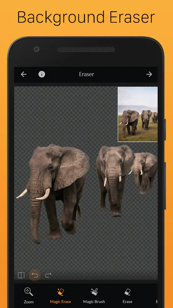 Screenshot of the PhotoCut app