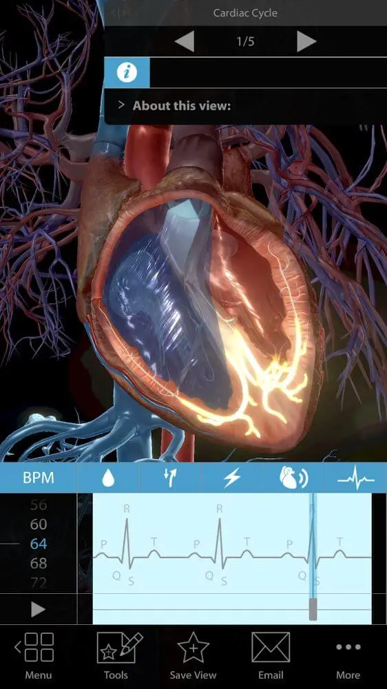 Screenshot of the Physiology & Pathology app