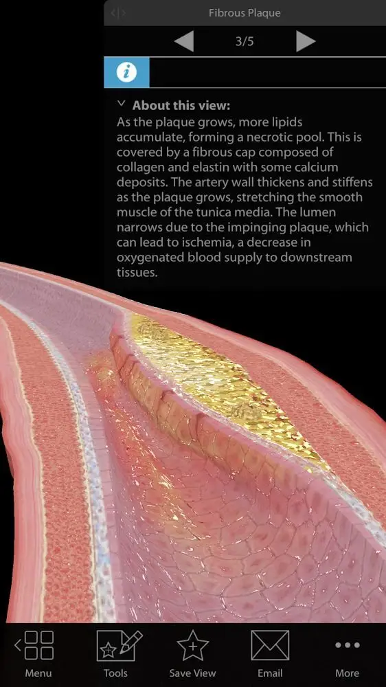 Screenshot of the Physiology & Pathology app