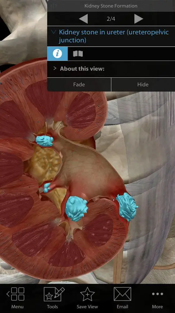 Screenshot of the Physiology & Pathology app