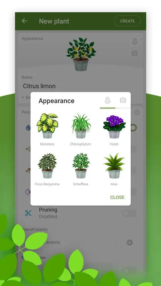 Screenshot of the Plant Care Reminder app