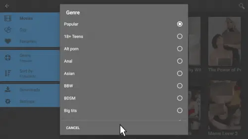 Screenshot of the Porn Time game