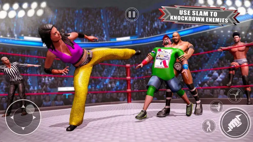 Screenshot of the Real Wrestling Game 3D game