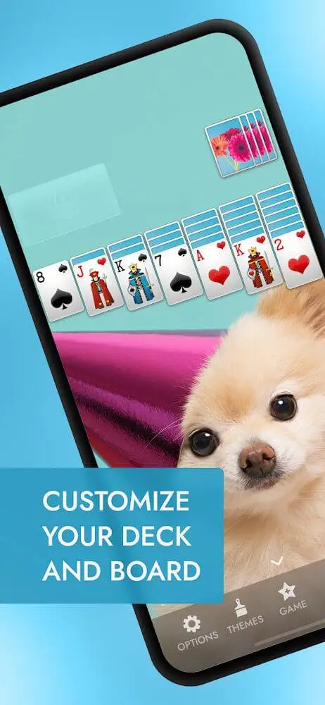 Screenshot of the Spider Solitaire+ app