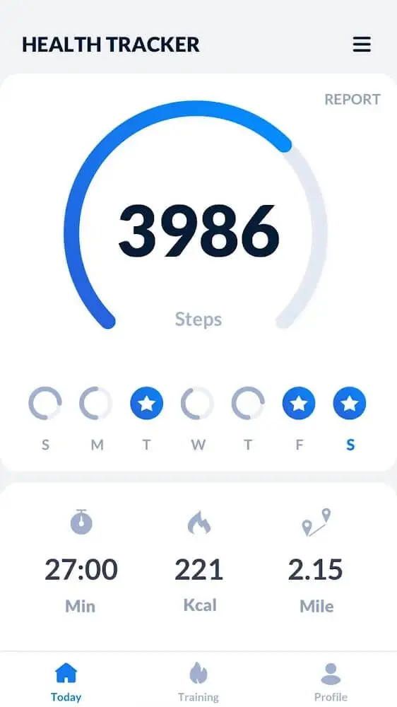 Screenshot of the Step Tracker app