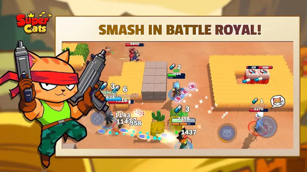 Screenshot of the Super Cats game