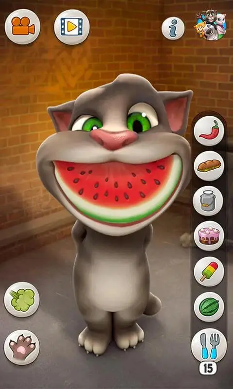 Screenshot of the Talking Tom Cat app