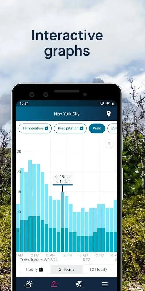 Screenshot of the WeatherPro game