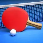 Ping Pong Fury application logo